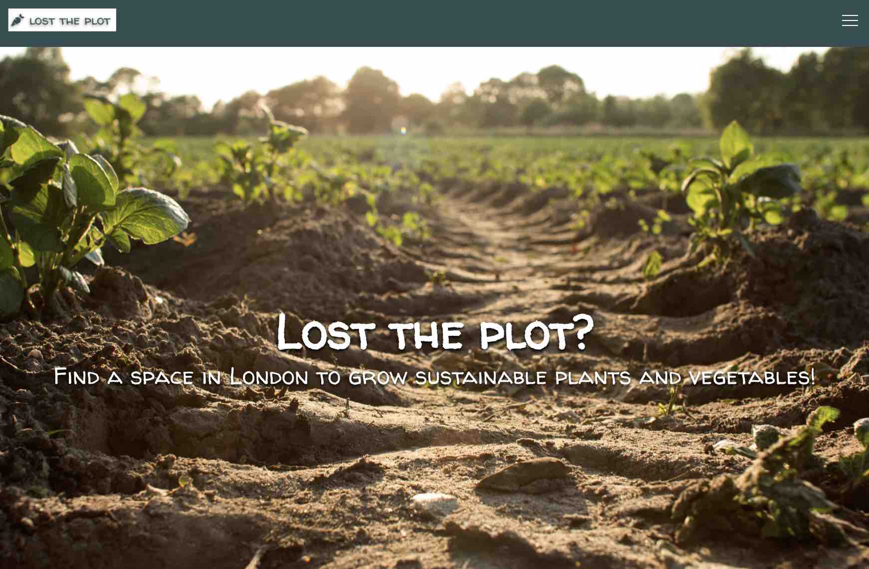 Lost the plot Project screenshot