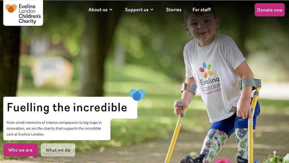 Screenshot of Evalina charity website